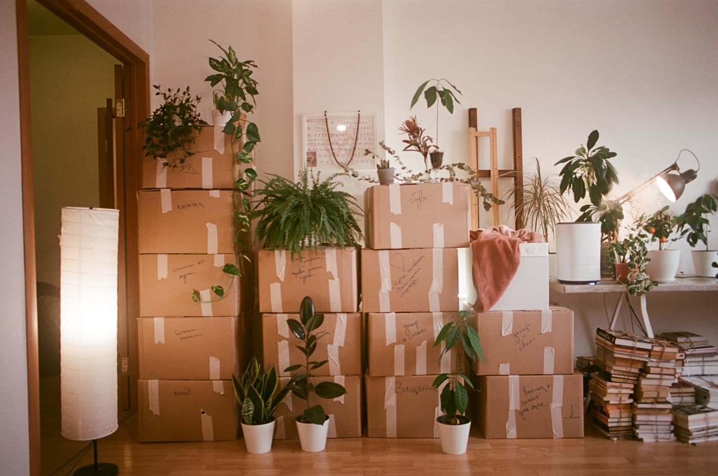 Moving boxes stacked in an empty room